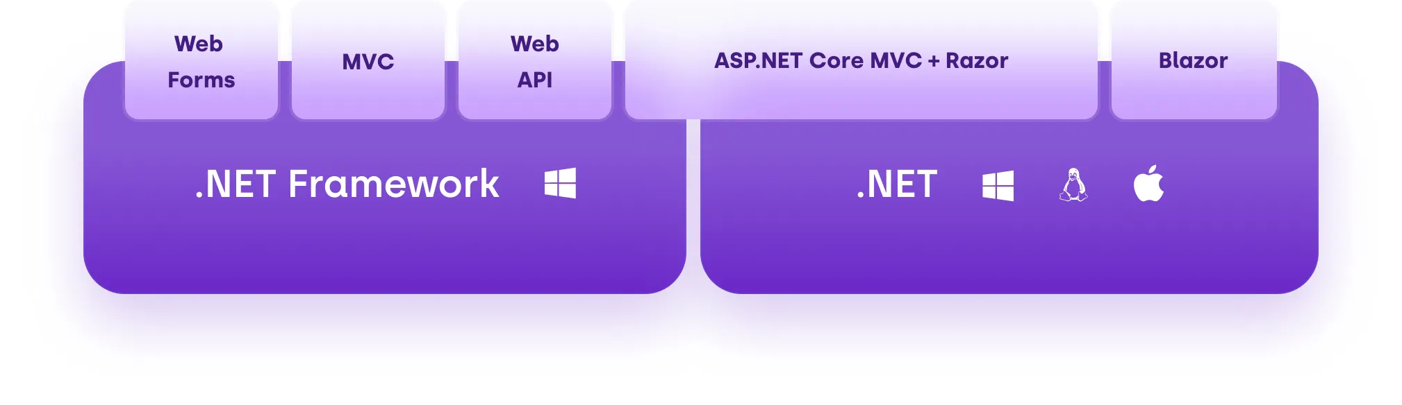 .NET Framework vs .NET infographic